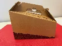 Disposable Beverage Carrier